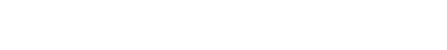 savvymom_v2