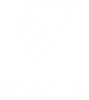 ymca_v2.png
